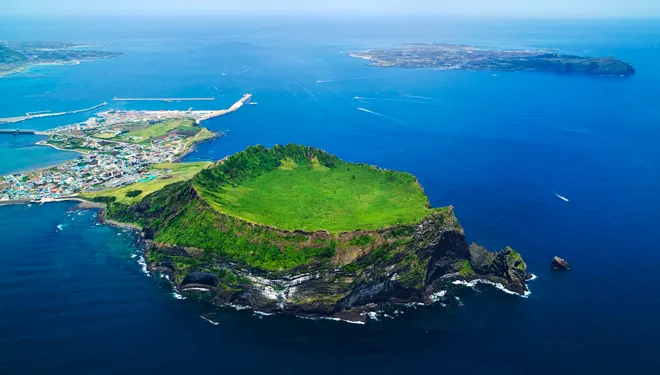 Chạy trên những cánh đồng hoa mùa xuân ở Jeju ảnh 3