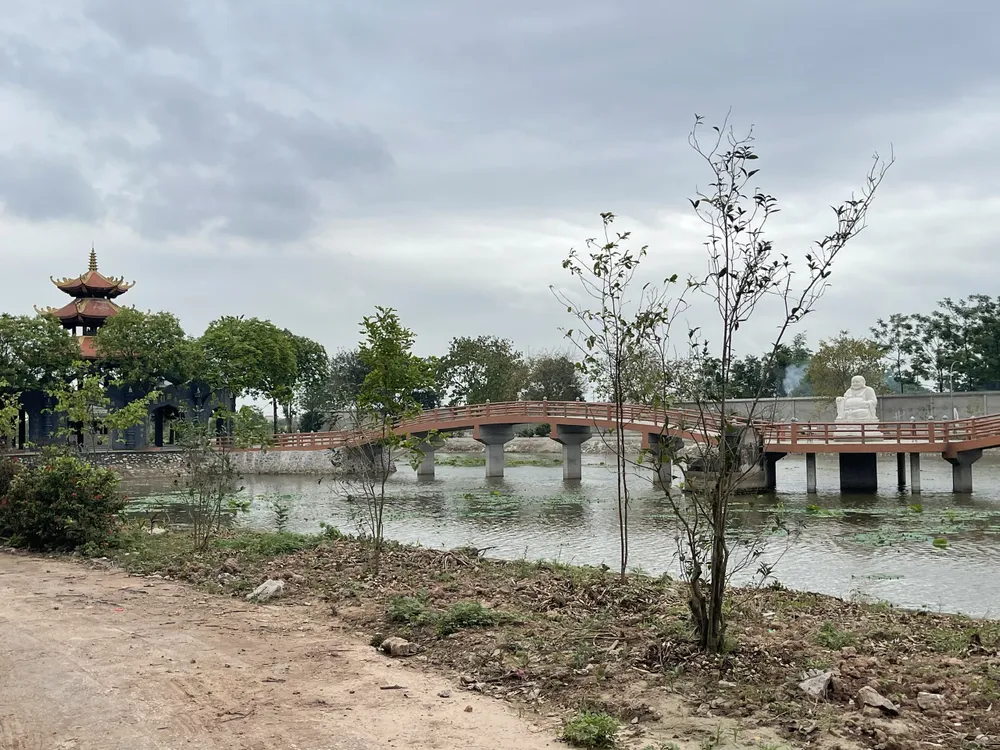 Bộ VH-TT-DL thanh tra sai phạm tại di tích quốc gia chùa Đậu, Hà Nội ảnh 5