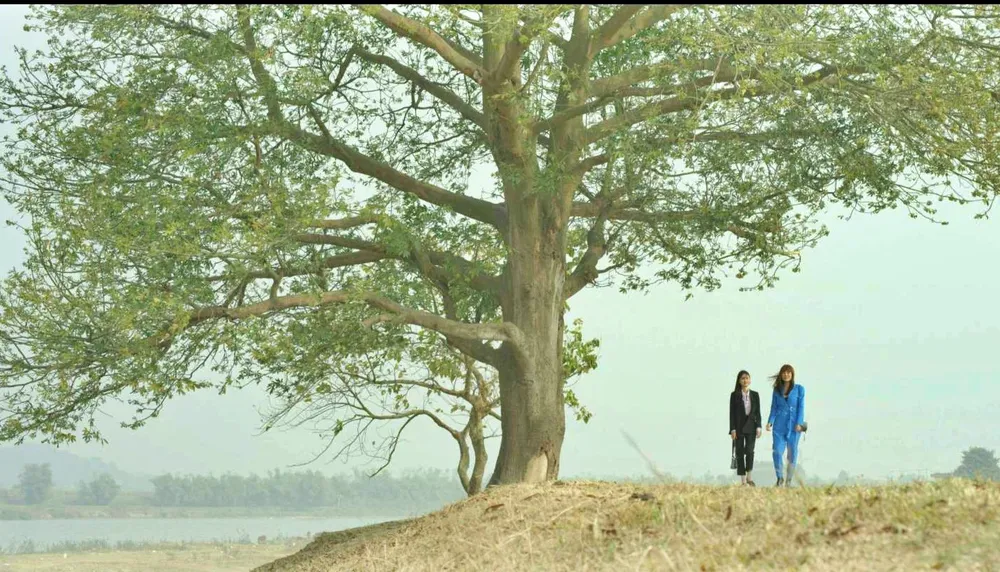 Bức tranh đồng quê đầy màu sắc với “Mùa hoa tìm lại“ ảnh 2