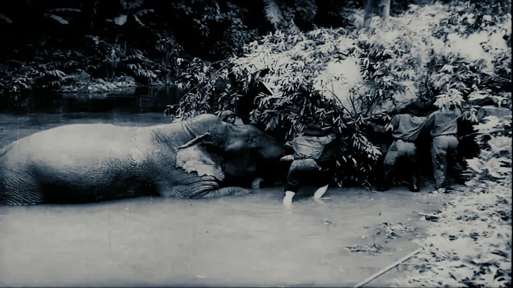 Ra mắt 22 tập phim tài liệu quy mô về chiến tranh giải phóng dân tộc, bảo vệ Tổ quốc ảnh 2