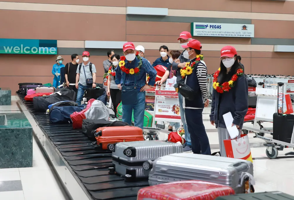 Tháng 11, khách quốc tế đến Việt Nam tăng hơn 42,4%  ảnh 1