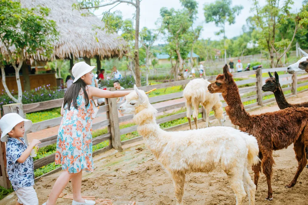 90% du khách lo ngại sẽ bị cách ly tại điểm đến hoặc khi quay về nhà