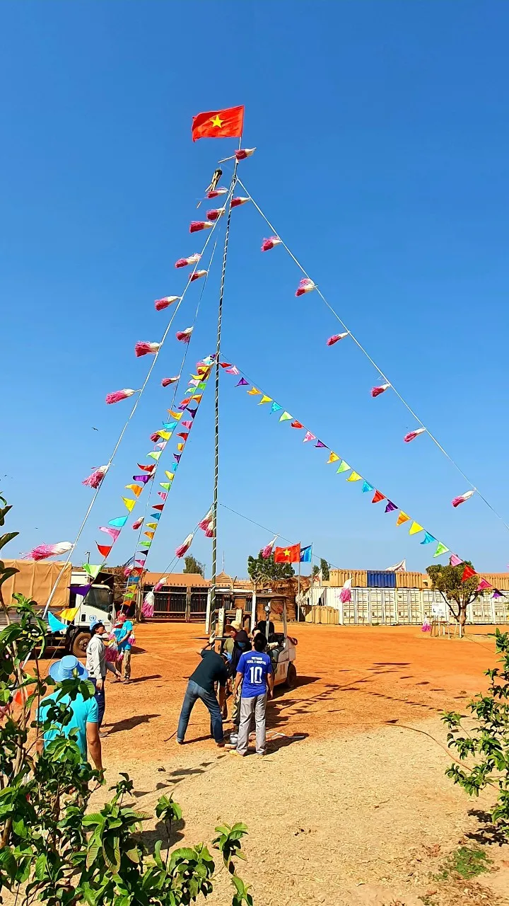 Cây nêu Việt Nam cao 10m trên đất châu Phi xa xôi ảnh 3