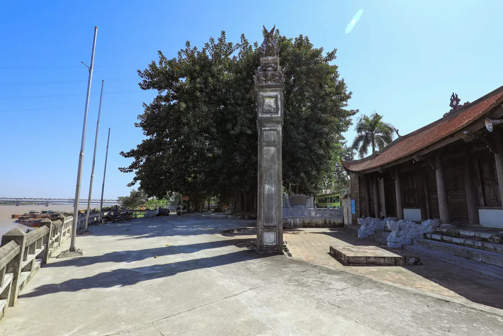 Cận cảnh cây đa khổng lồ bị chặt hạ tại đình Chèm ảnh 4