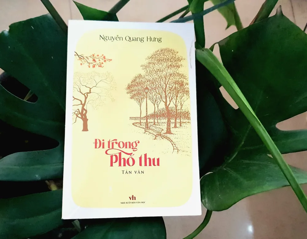 Đi trong phố thu - lạc vào hoài niệm về một Hà Nội rất gần  ảnh 2