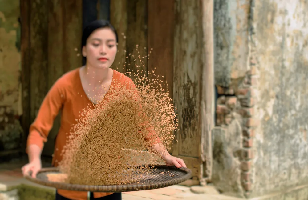 Dung dị và bình yên với “Về miền ký ức” của sao mai Huyền Trang ảnh 2