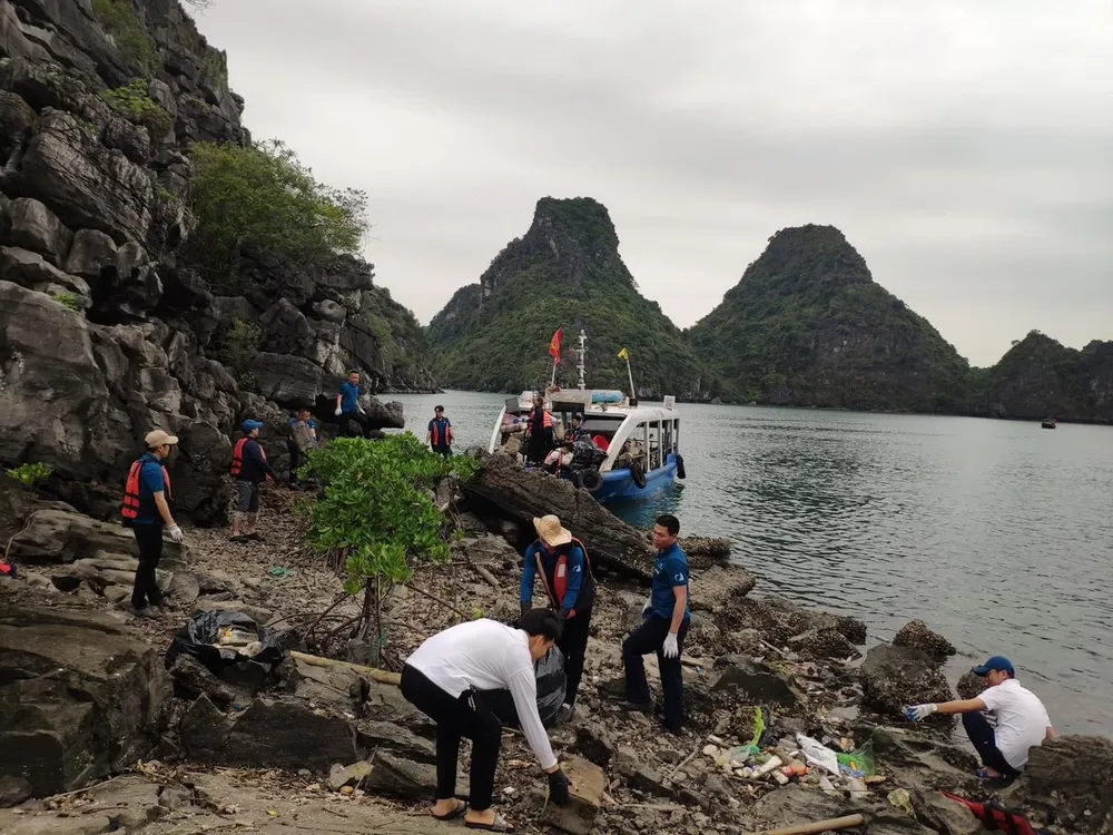 Việc thu gom rác, làm sạch môi trường tại vịnh Hạ Long dự kiến sẽ được duy trì thường xuyên