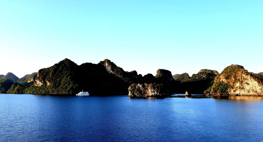 Với 1.133 hòn đảo đá vôi muôn hình, muôn vẻ (775 đảo đá vôi thuộc vịnh Hạ Long và 358 đảo đá vôi thuộc quần đảo Cát Bà), vịnh Hạ Long - quần đảo Cát Bà còn được bao phủ bởi thảm thực vật phong phú Với 1.133 hòn đảo đá vôi muôn hình, muôn vẻ (775 đảo đá vôi thuộc vịnh Hạ Long và 358 đảo đá vôi thuộc quần đảo Cát Bà), vịnh Hạ Long - quần đảo Cát Bà còn được bao phủ bởi thảm thực vật phong phú