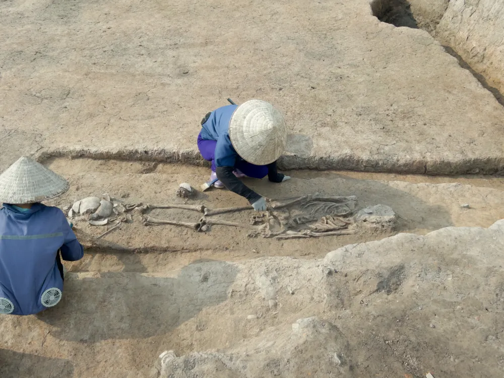 original 2024-10-18 075651.190.jpg