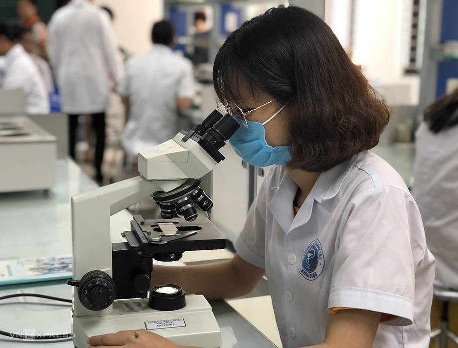 越南的機構和企業合作指數提高10級。(圖源：互聯網)