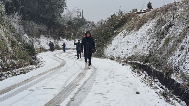 氣溫降至零下  依子白雪茫茫 ảnh 1