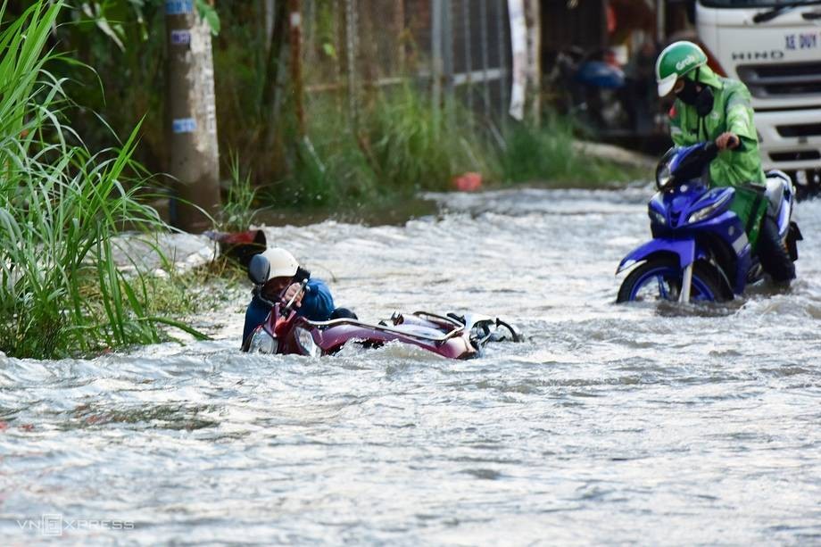 過去11月6日的潮汛致本市多條路受淹。