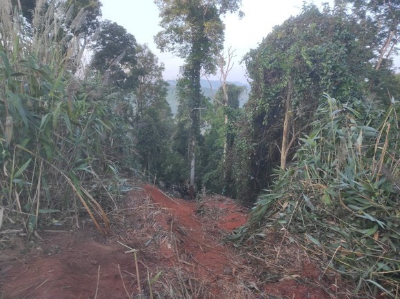 發生事故的地方。