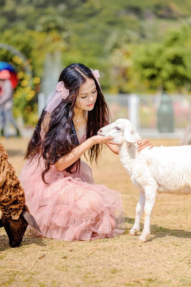 安江省充滿年味及安全的旅遊旺季 ảnh 3