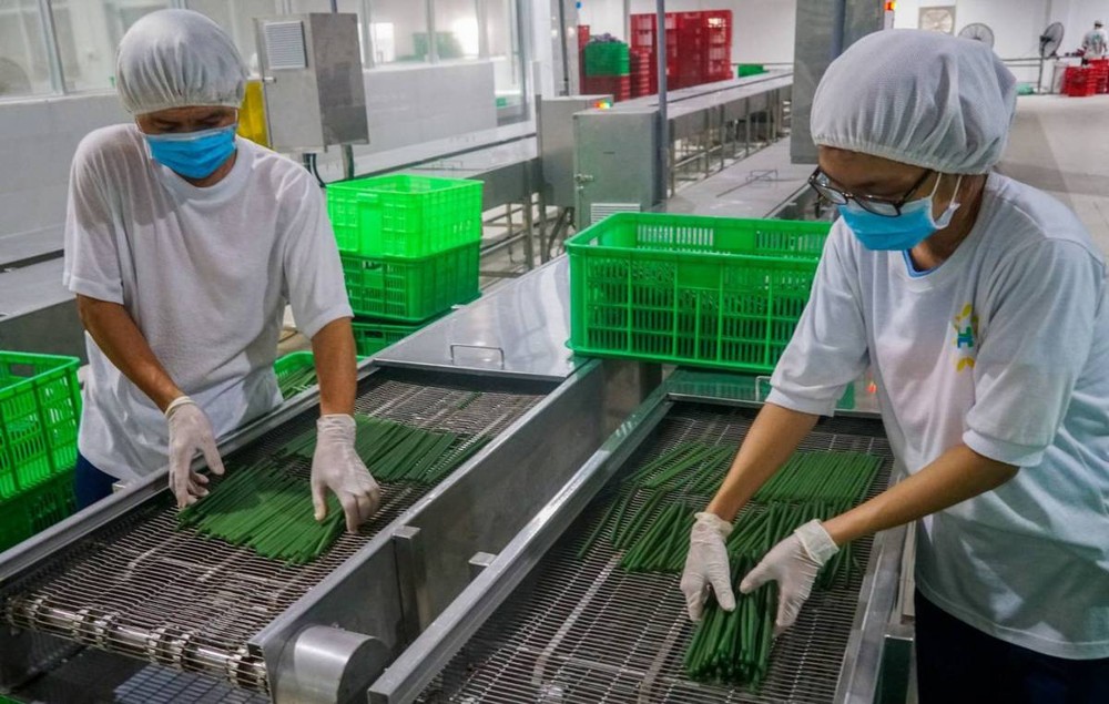 生產大米吸管減少使用塑料產品。