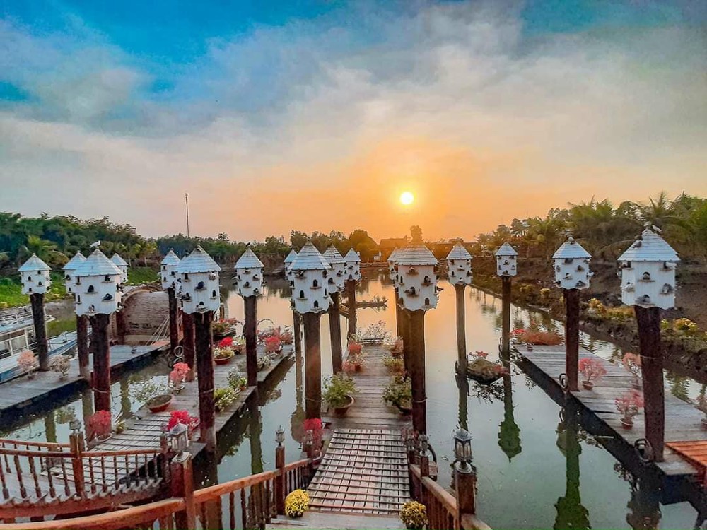 體驗茶師日式“森林浴”藝術 ảnh 2