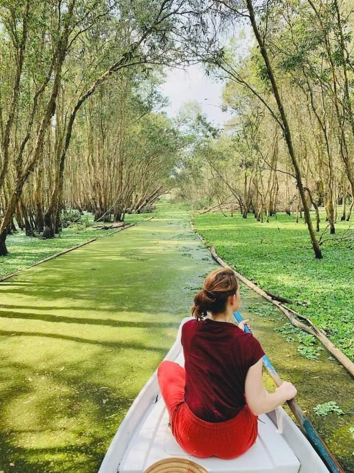 體驗茶師日式“森林浴”藝術 ảnh 5