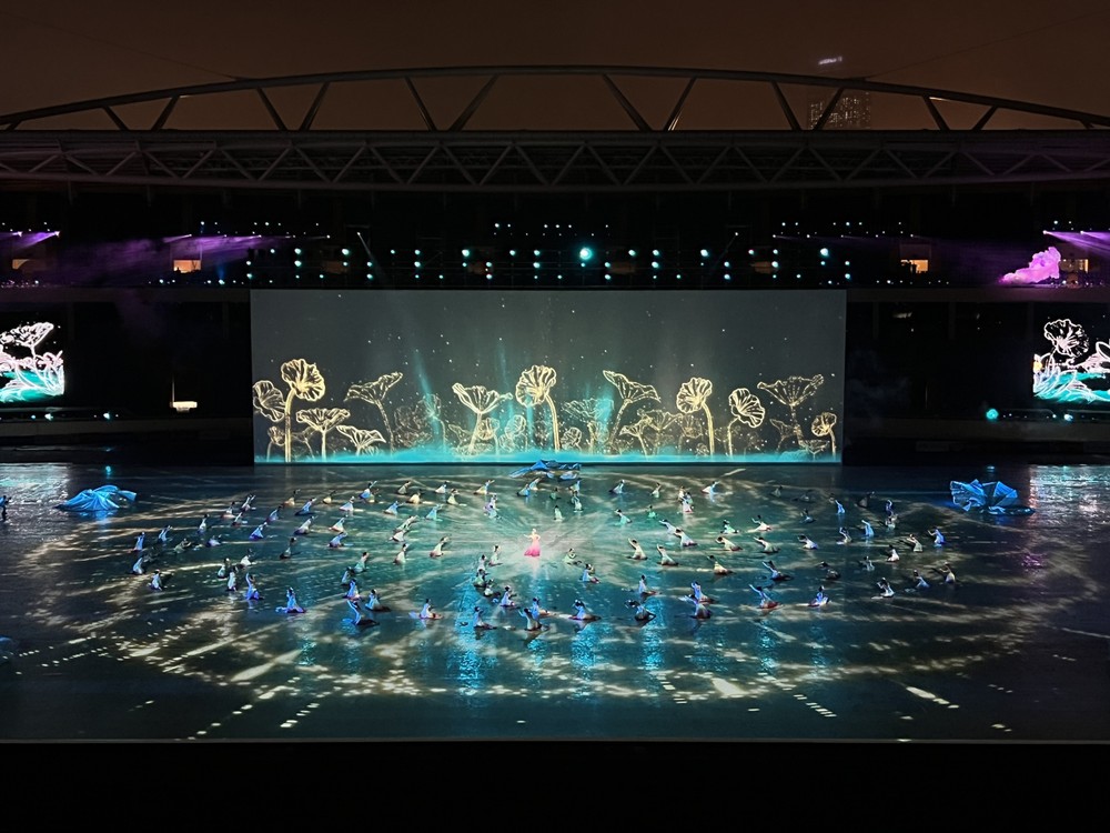 第31屆東運會正式拉開帷幕 ảnh 10