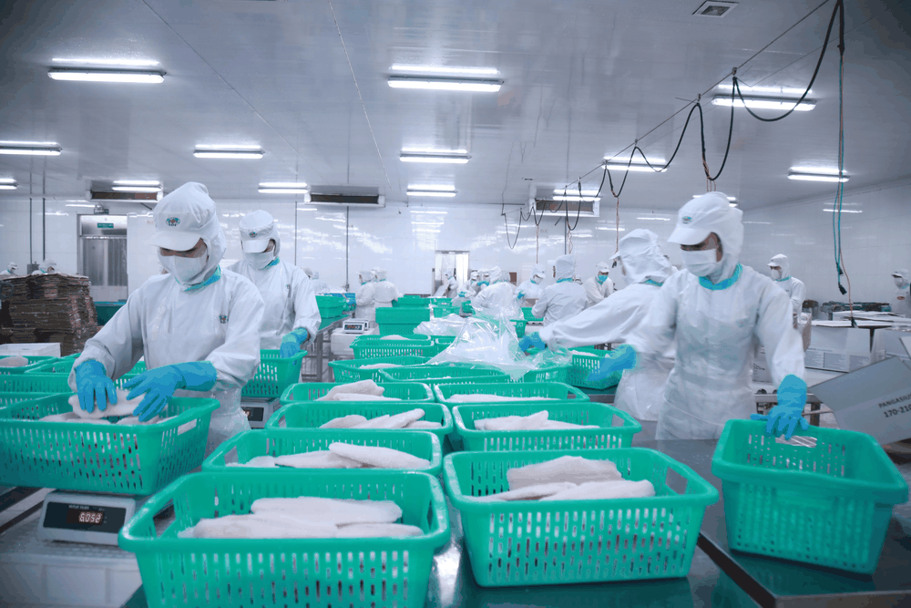 IDI——九龍江平原一顆耀眼的寶石 ảnh 1