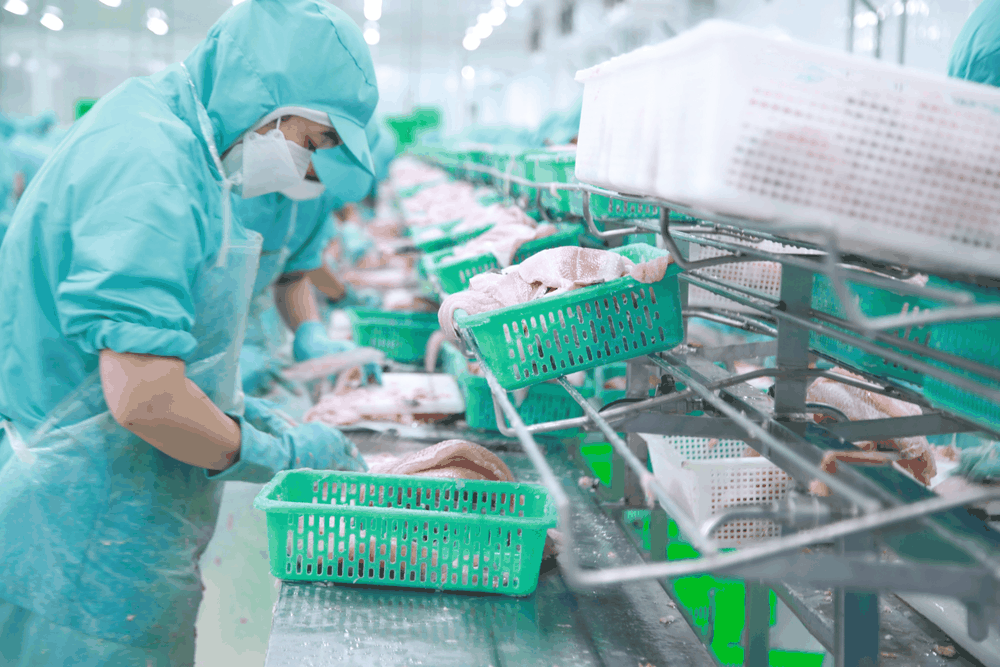 IDI——九龍江平原一顆耀眼的寶石 ảnh 3