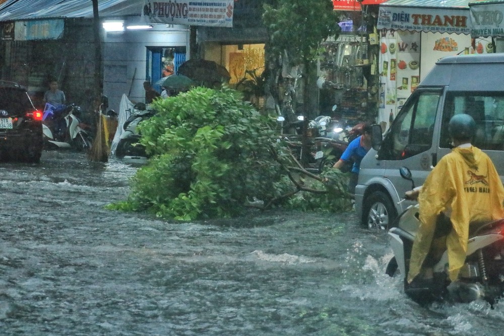 本市暴雨後多條街受淹   交通混亂 ảnh 2