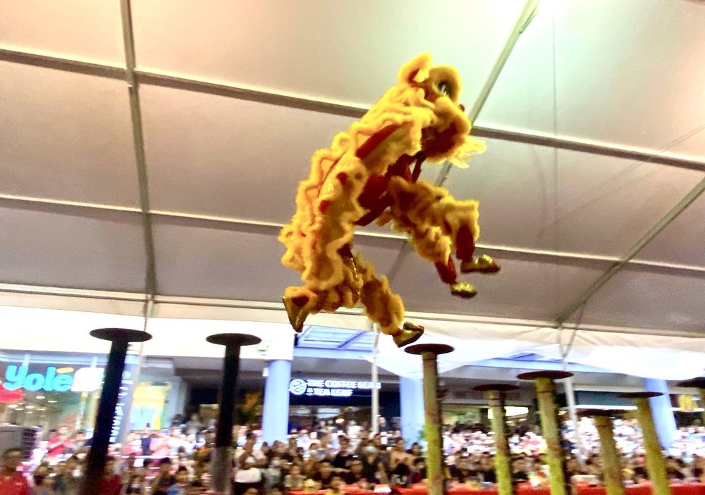 2023年“洪熙官狮王杯”国际高桩舞狮邀请赛比赛一瞥。