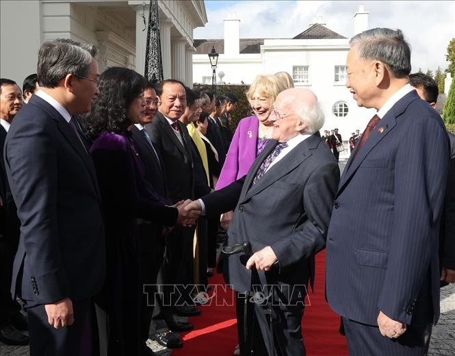 vna_potal_le_don_tong_bi_thu_chu_tich_nuoc_to_lam_tham_cap_nha_nuoc_toi_ireland_stand (1).jpg