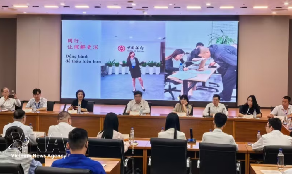 座谈会上，中越两国12名青年代表结合学习体会与岗位实践作了交流发言。图自越通社