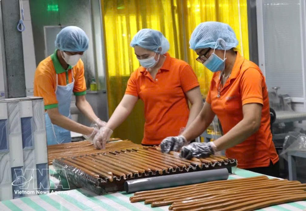 永隆省桥棋（Cầu Kè）椰蓉加工有限公司工人正在加工椰蓉产品。图自越通社