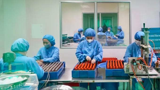 胡志明市西盛坊OPC制药厂工人正在工作。图：黄雄