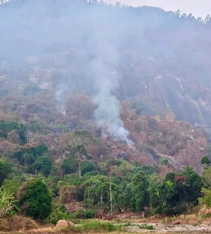 Đám cháy núi Cô Tô đã được khống chế (2).jpg