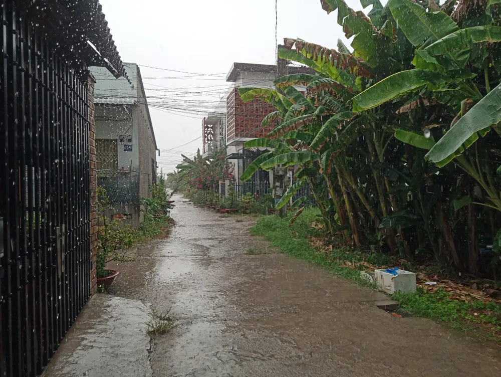 Mưa tại Đồng Tháp chiều 4-5.jpg