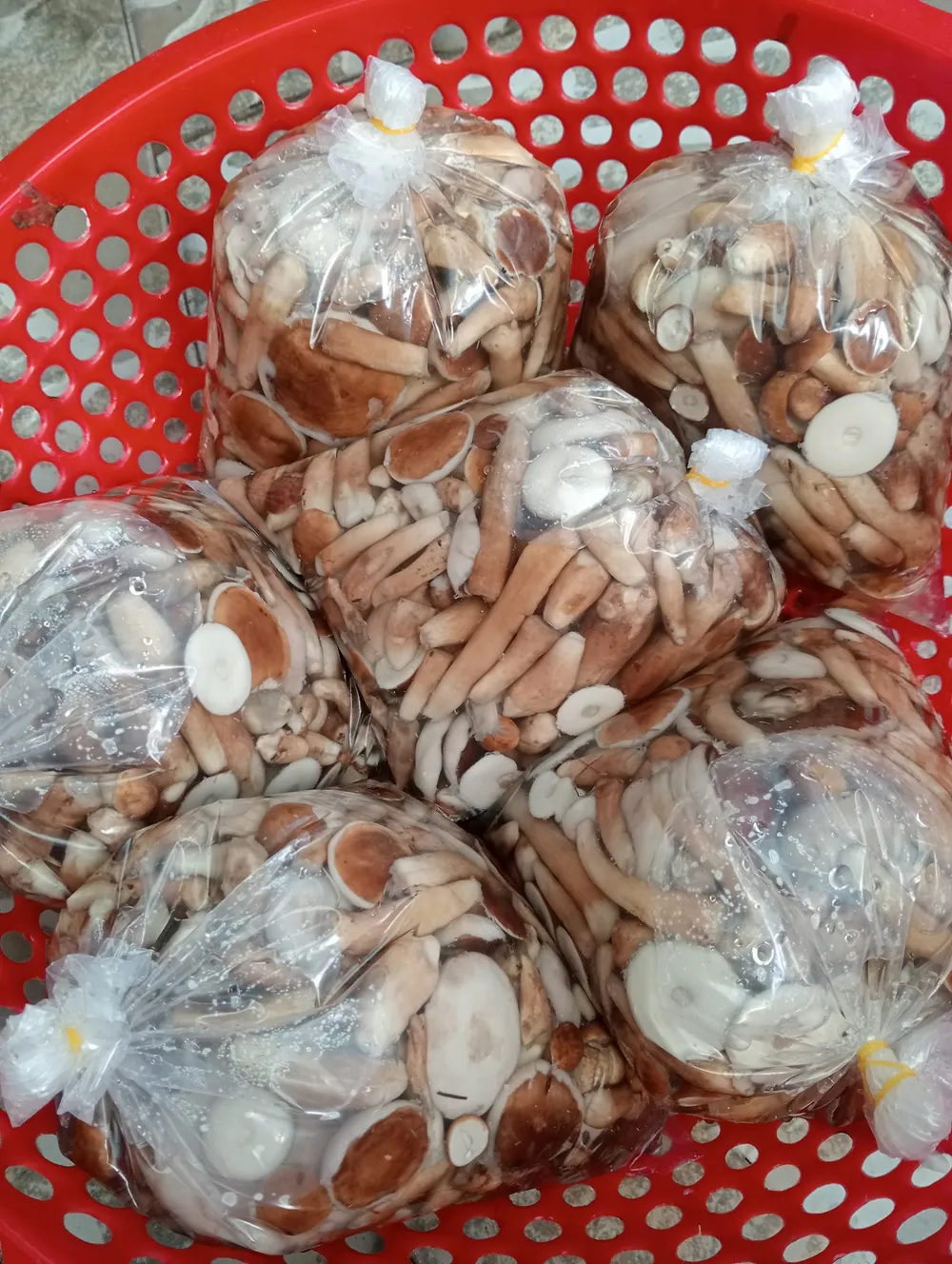 Hình 21 - Nấm tràm được chia làm nhiều bịch có trọng lượng 1kg để dễ bảo quản copy.jpg