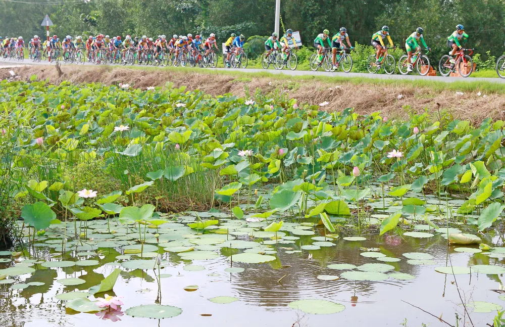 Giải xe đạp Đồng bằng sông Cửu Long tăng hơn 50% tiền thưởng ảnh 1