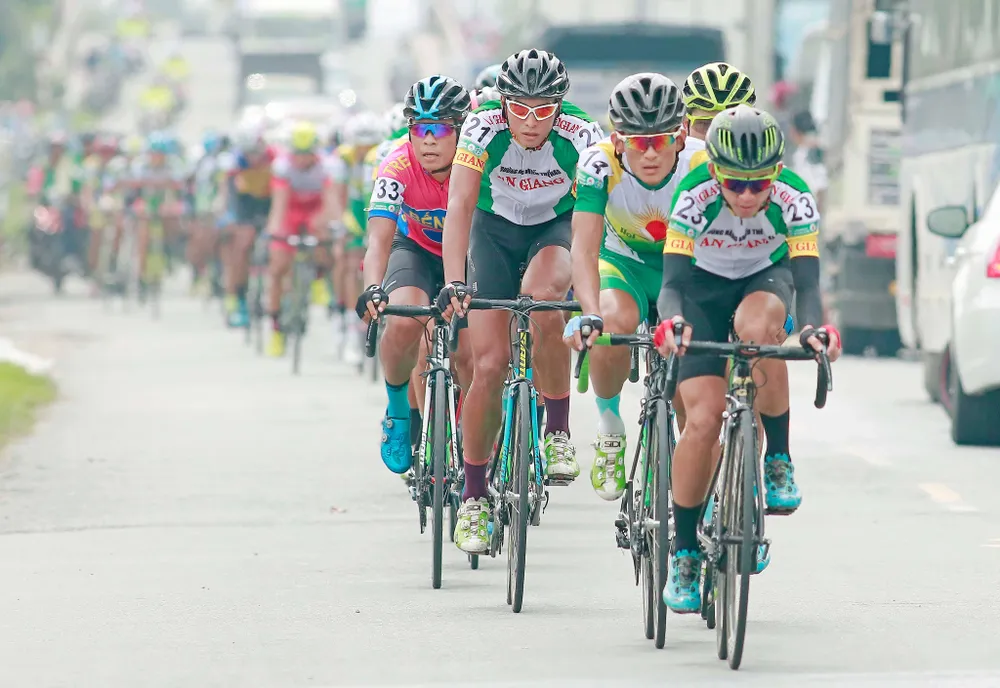 Chiến thắng của anh em nhà họ Lê ảnh 1