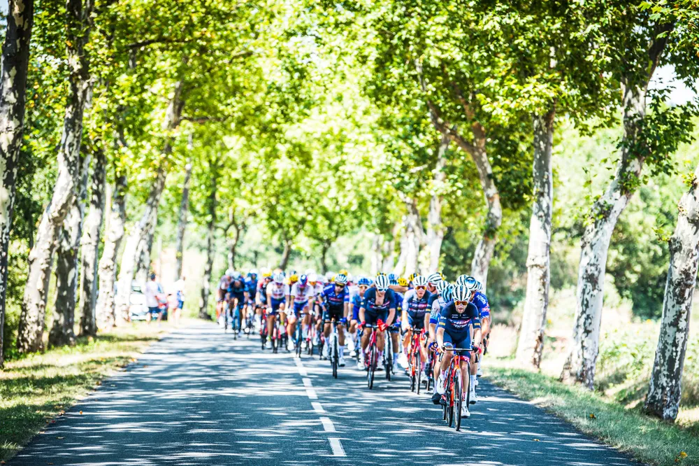 Ngày xui xẻo của Jumbo-Visma ảnh 1