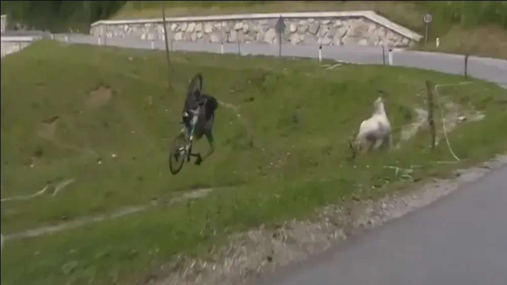 Filippo Zana té lộn nhiều vòng tại Tour of Slovenia 2023