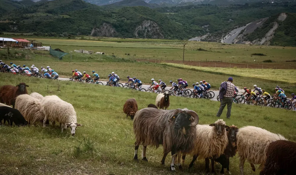 Ảnh màn hình 2025-05-14 lúc 09.36.30.png