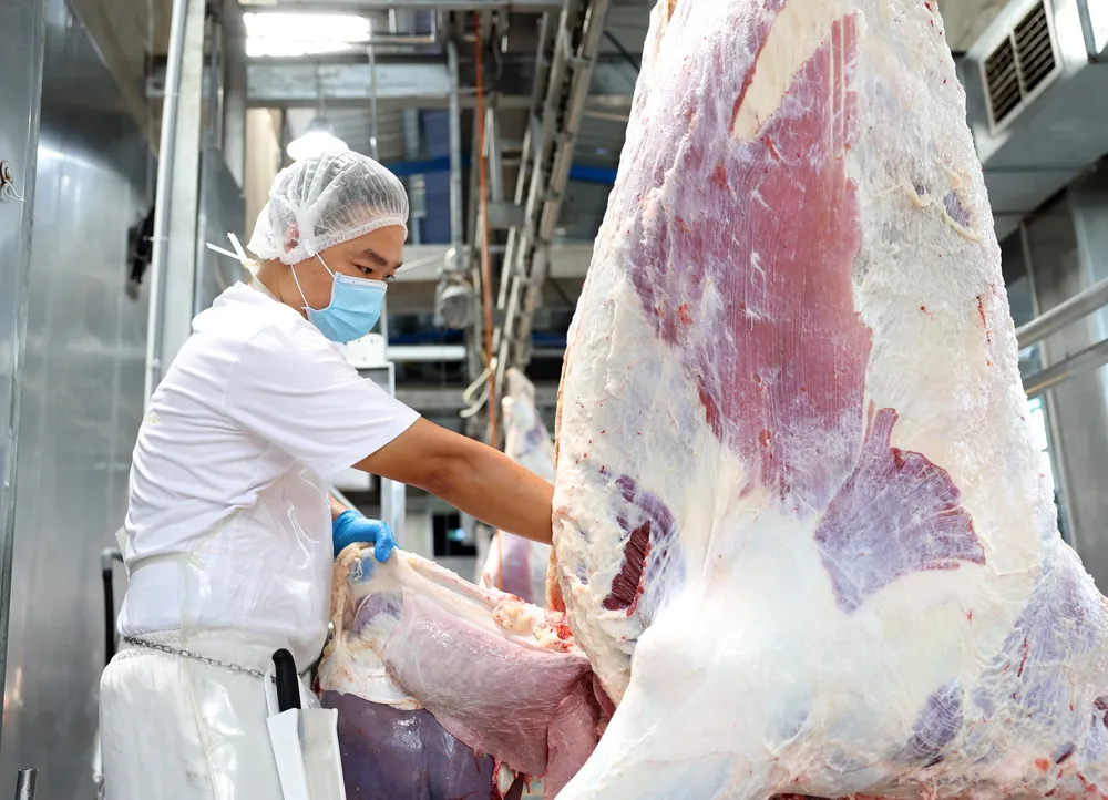 Sản xuất tại nhà máy của Công ty TNHH Pacow International, tỉnh Tây Ninh