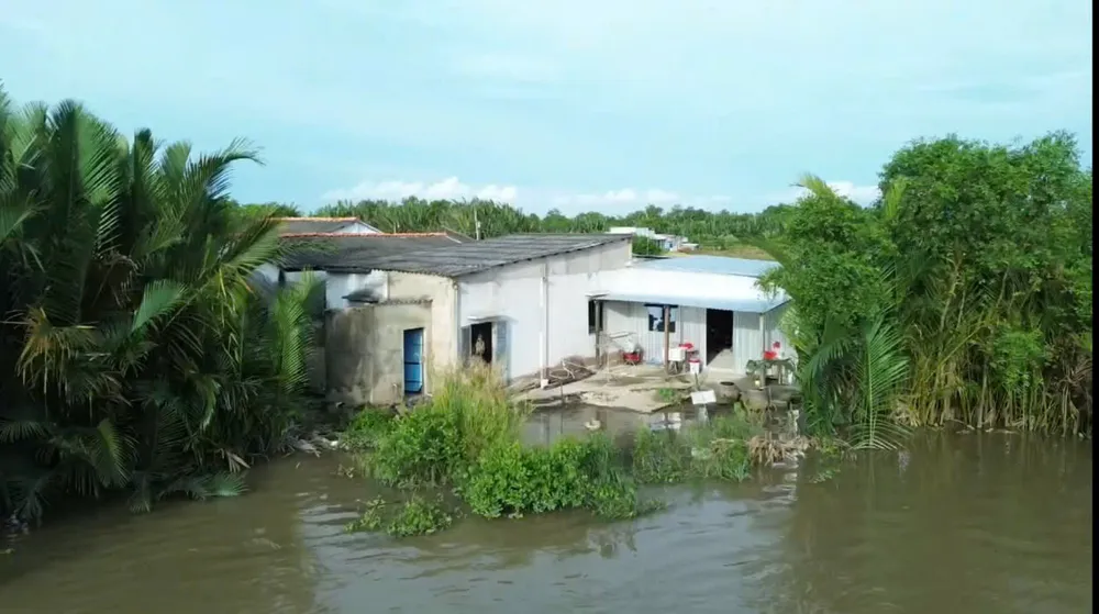 Một điểm có nguy cơ sạt lở nguy hiểm tại bờ sông Cần Đước, xã Tân Lân, tỉnh Tây Ninh