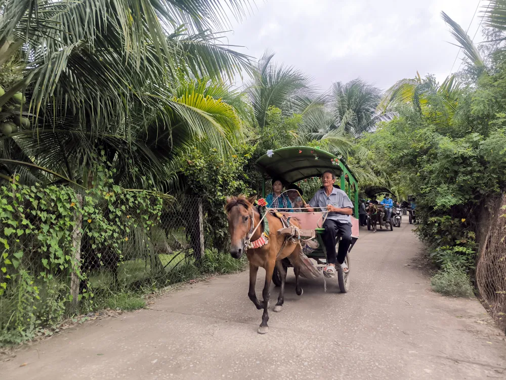 Cồn 5.jpg