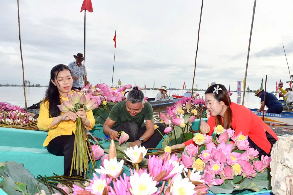 Đồng Tháp 4.jpg