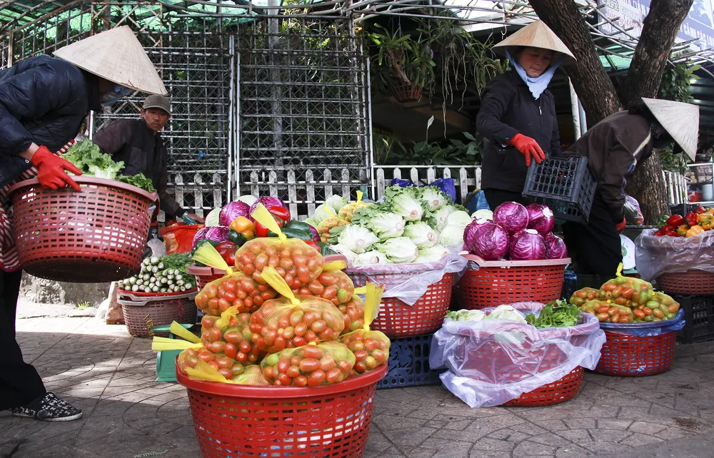 Sắc màu rau quả chợ Đà Lạt ảnh 4