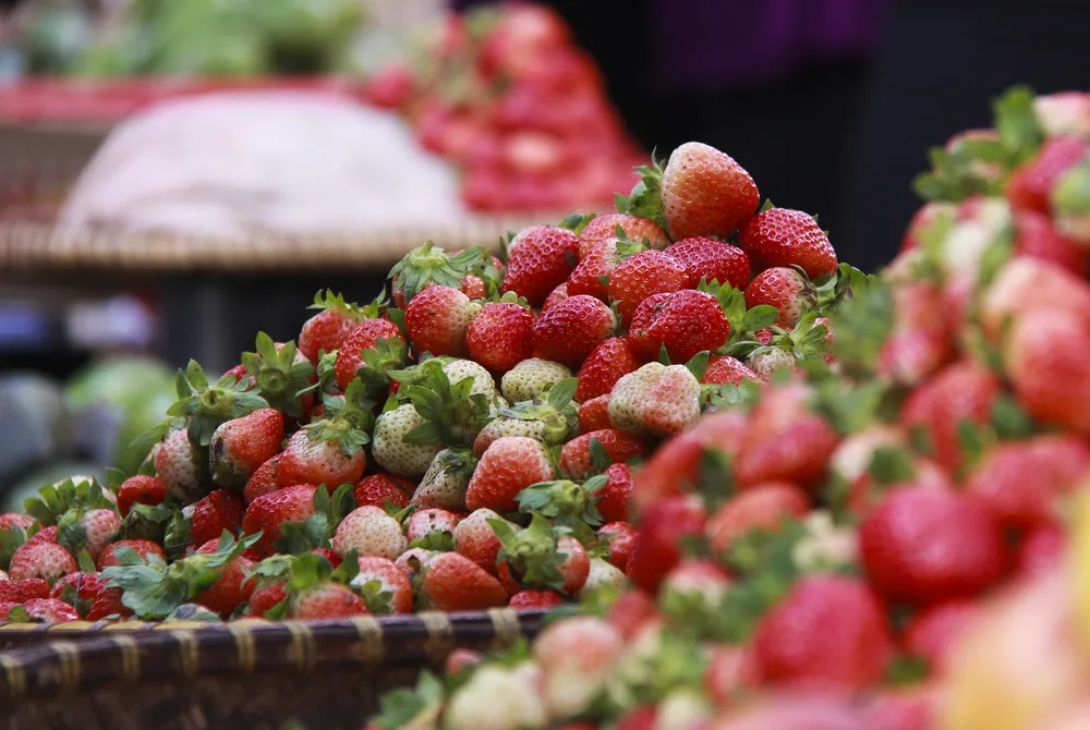 Sắc màu rau quả chợ Đà Lạt ảnh 1