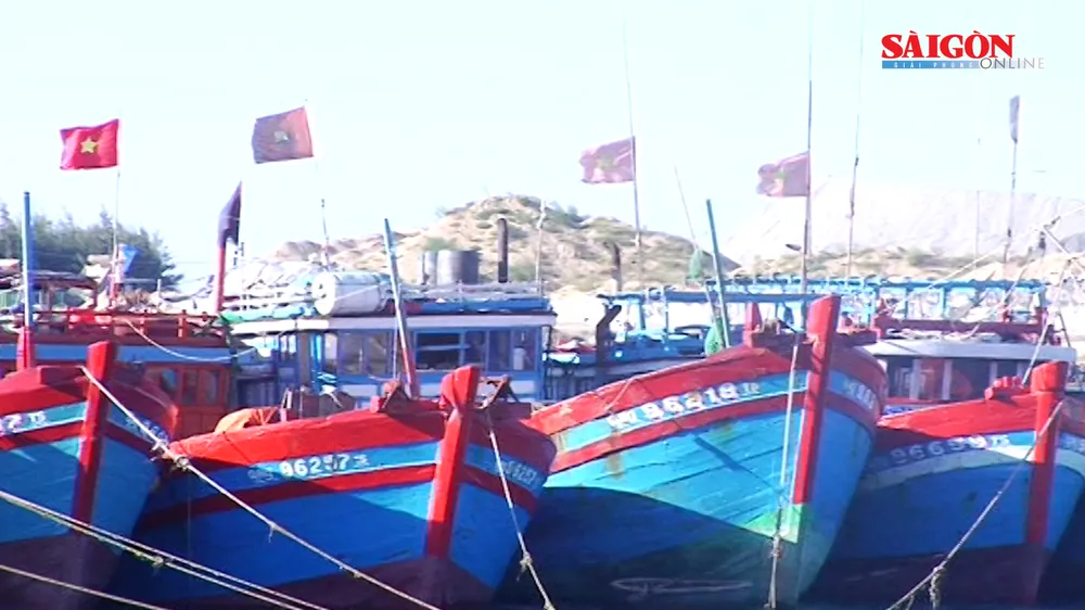 Quảng Ngãi: 70 tỷ đồng hỗ trợ tàu cá đánh bắt vùng biển xa