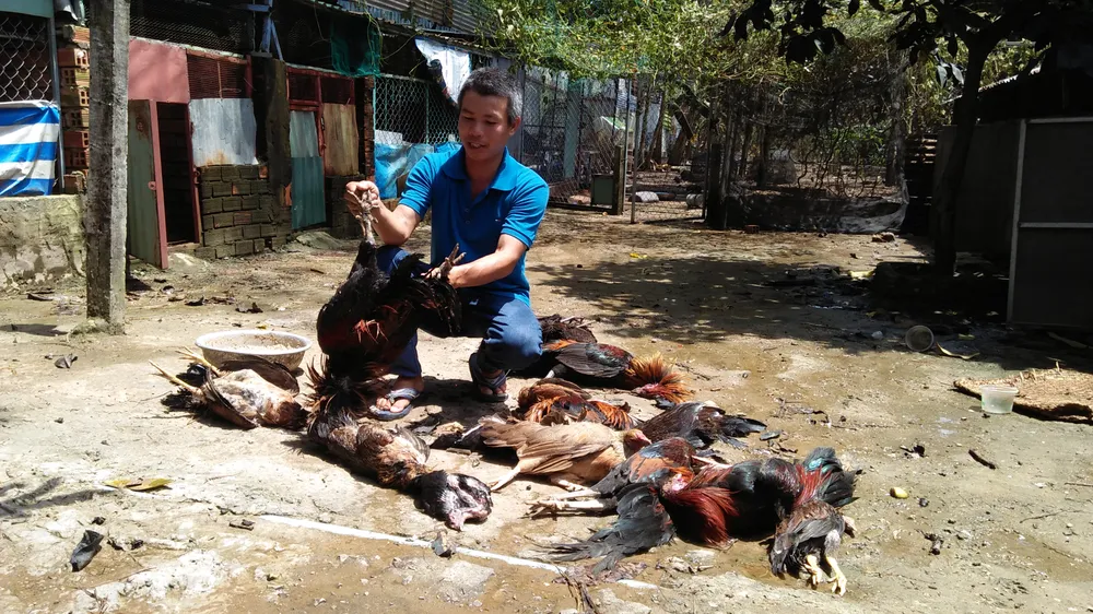 Bể đường ống khí Amoniac (NH3) ở trạm chiết gas, 4 người nhập viện