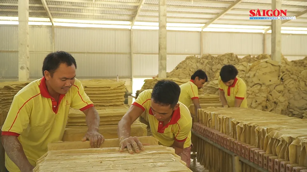 Dự án chế biến sâu cao lanh tại Lâm Đồng