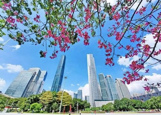 广州行记—秋日里的花城盛情