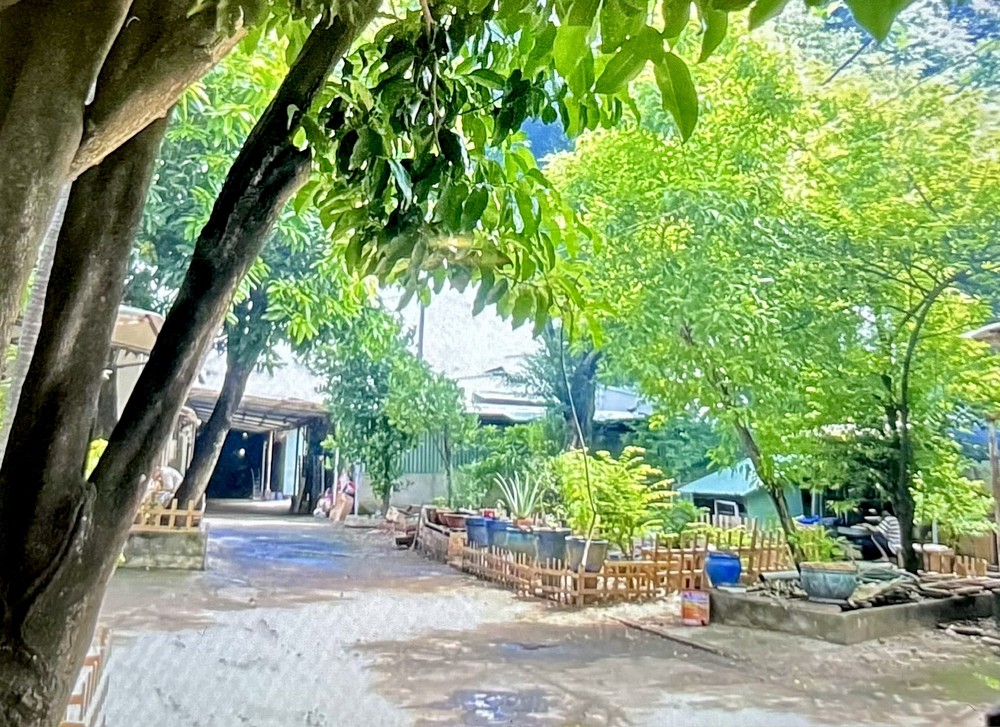 《一栋房子》林松风/摄
