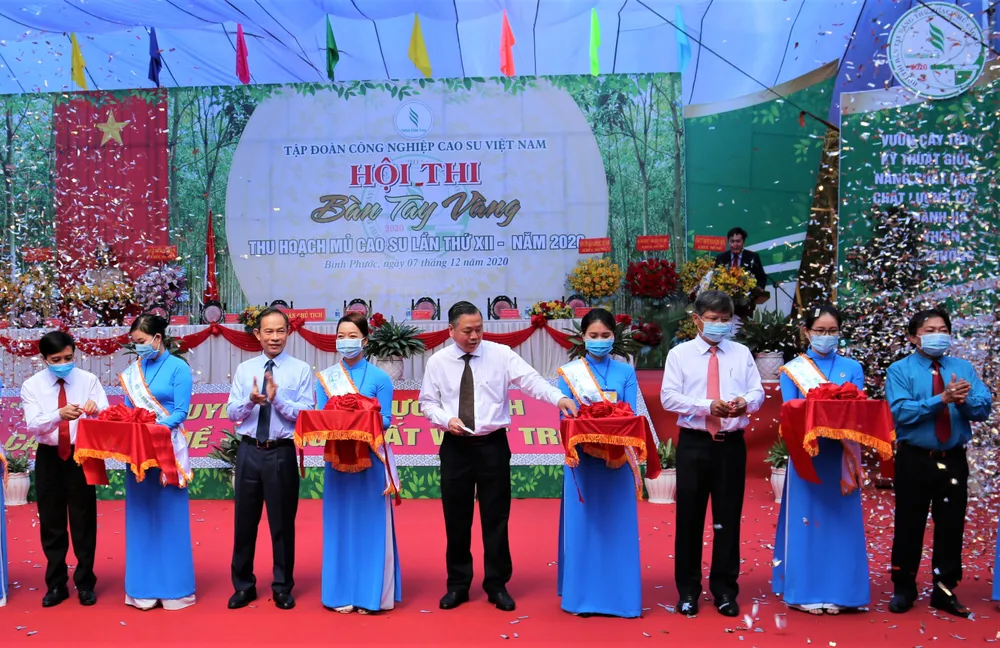 205 thí sinh dự Hội thi Bàn tay vàng thu hoạch mủ cao su ảnh 1